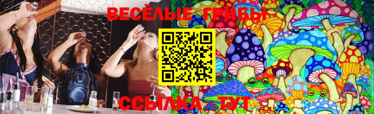 Галлюциногенные грибы Psilocybe  Вход с VPN  Верхняя Салда 