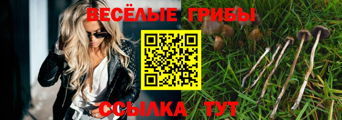 Псилоцибиновые грибы ЛСД Верхняя Салда